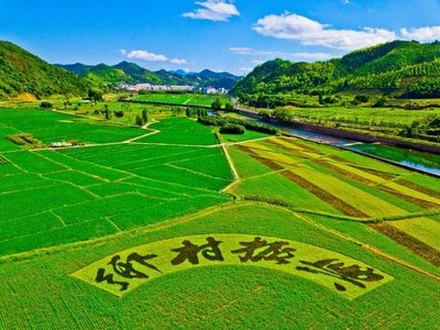乡村振兴工作动态 （第146期）