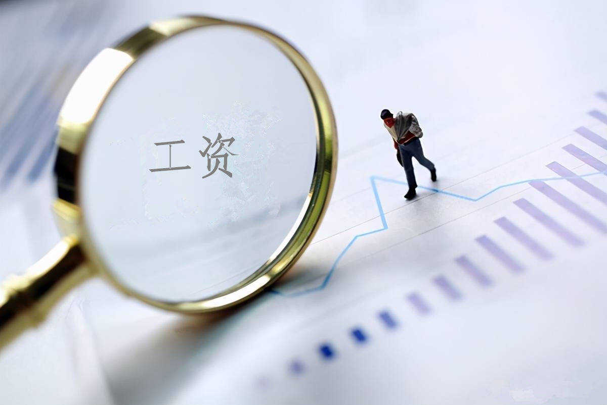 2022年度永乐高60net工资总额信息披露