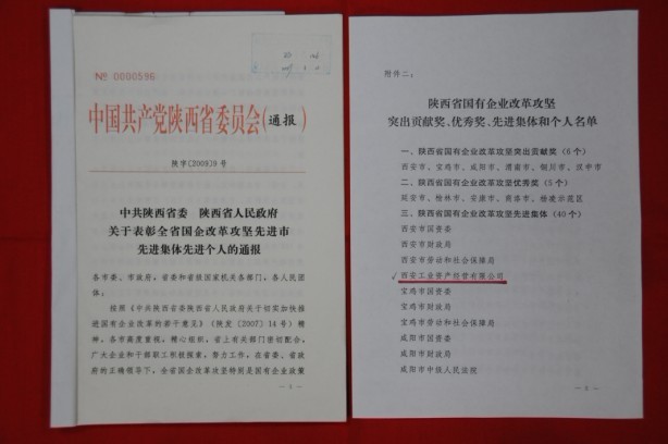 2009年2月，被陕西省委、省政府授予陕西省国有企业改革攻坚先进集体